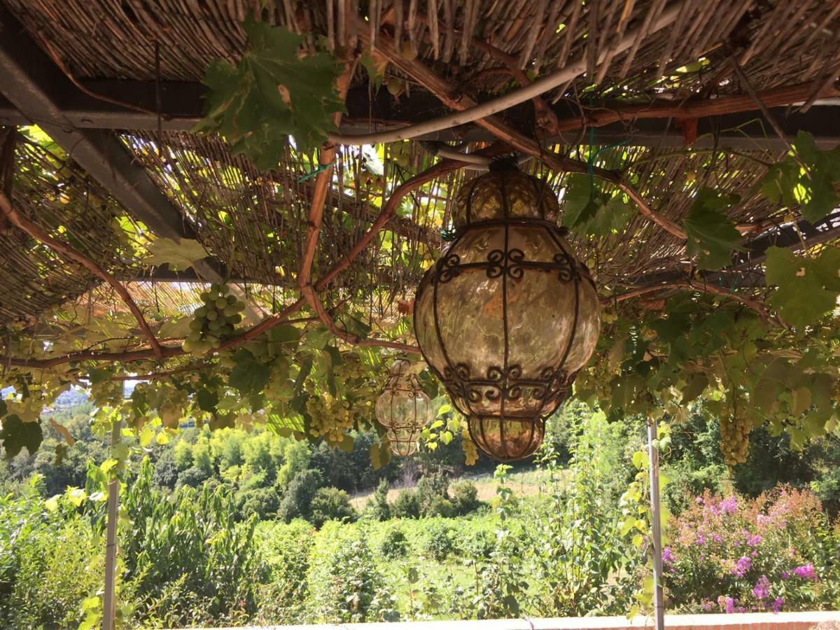 Podere Di Costabella Conegliano Dış mekan fotoğraf
